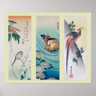 Poster Bois japonais