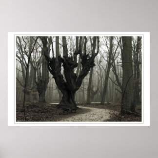 Poster Bois magique