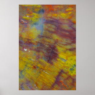 Poster Bois pétrifié