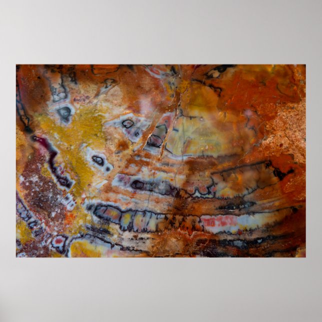 Poster Bois pétrifié Brown (Devant)