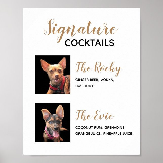 Poster Boissons Signature Animaux de Compagnie Menu Affic (Devant)