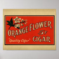 Boîte à cigares Vintage à fleurs orange