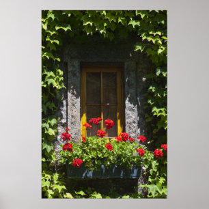 Poster Boîte à fleurs de fenêtre en géranium rouge