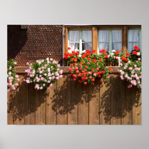 Poster Boîte à fleurs suisse