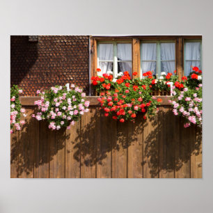 Poster Boîte à fleurs suisse