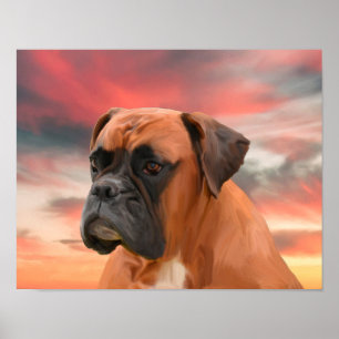 Poster Boîte de Boxer Mignon Peinture à l'eau et à l'huil