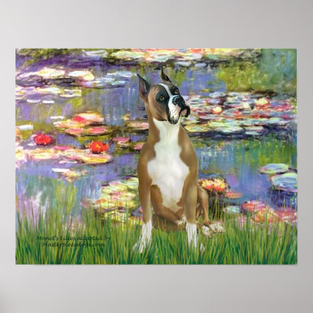 Poster Boîtier 1 (haché) - Lilies 2 (Devant)