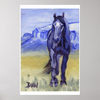 Poster Bolthar in Montana