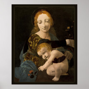 Poster Boltraffio Madonna de l'affiche du rose CC0335 XL