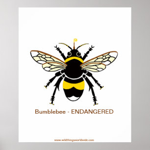 Poster BOMBE Graphique - Menacée - Faune - Nature