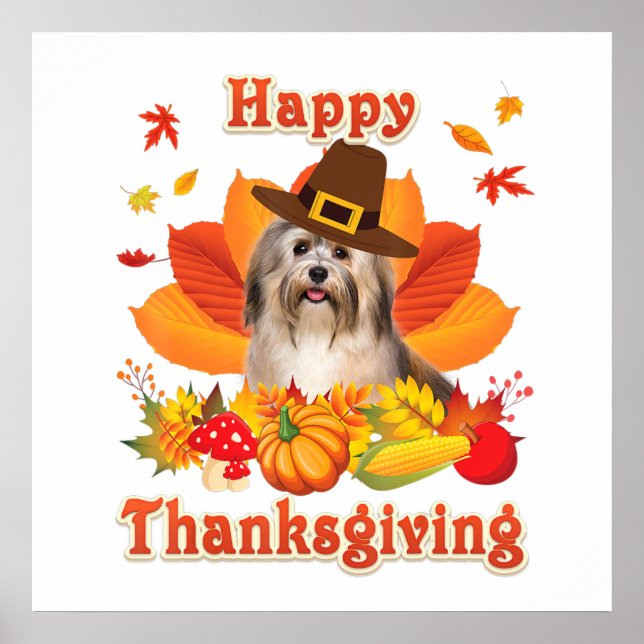 Poster Bon thanksgiving Havanais Chien Je Suis Heureux (Devant)