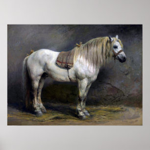 Poster Bonheur - A White Horse
