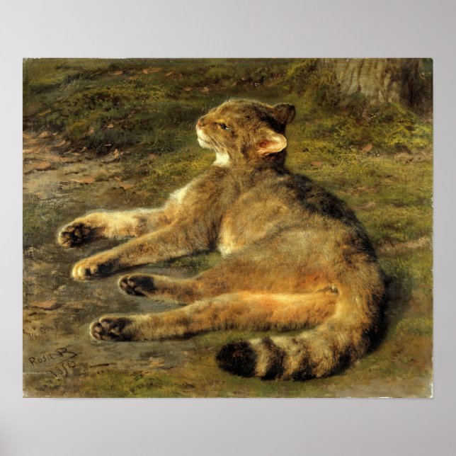 Poster Bonheur - Chat sauvage (Devant)