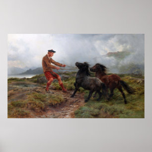 Poster Bonheur - Ghillie Shetland Poney Dans Un Terrain M