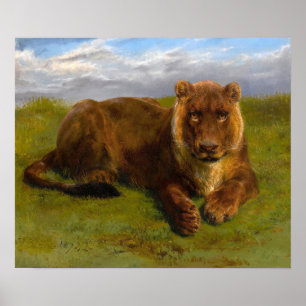 Poster Bonheur - Lionne posant
