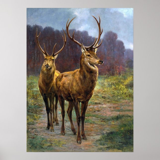 Poster Bonheur - Monarques De La Forêt (Devant)