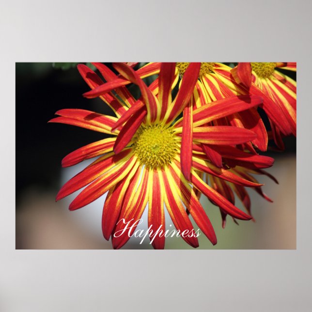 Poster Bonheur motivationnel (Devant)