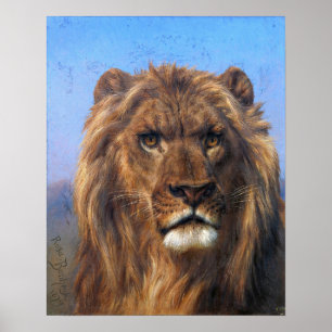 Poster Bonheur - Portrait D'Un Lion