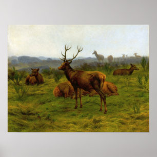 Poster Bonheur - The Monarch Of The Pack