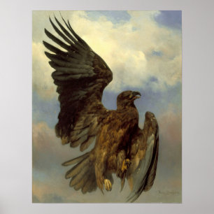 Poster Bonheur - The Wounded Eagle