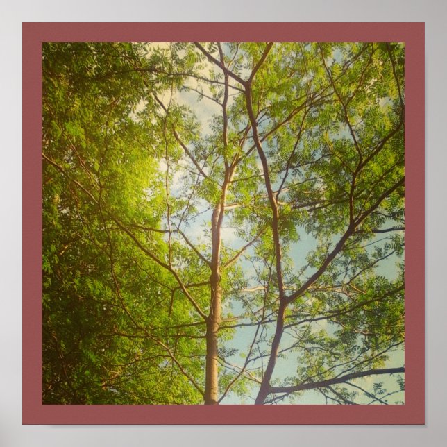 Poster Bonjour (Devant)