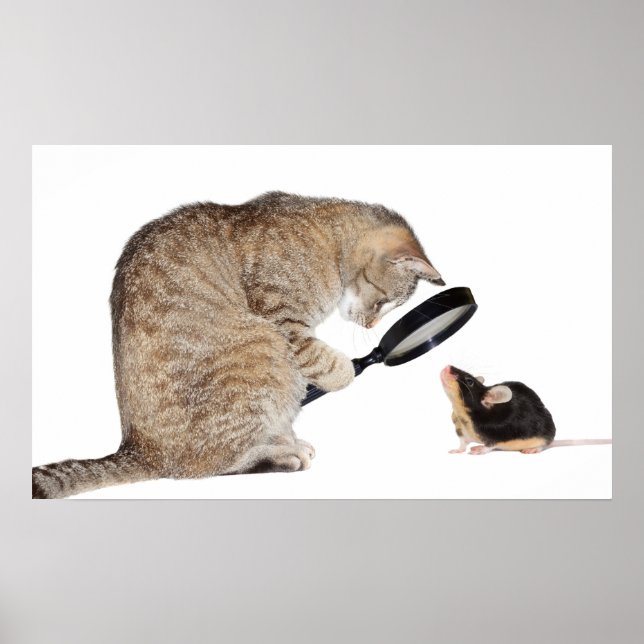 Poster Bonjour ! ? (Devant)