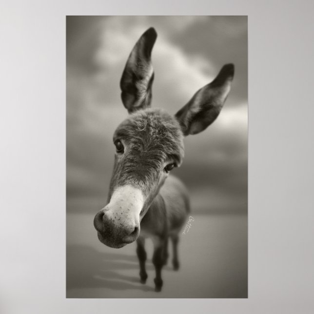 Poster Bonjour  (Devant)