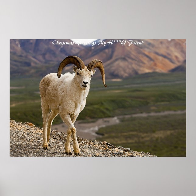 Poster Bonjour à Noël Mon ami (Devant)