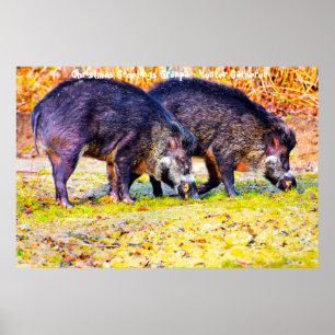 Poster Bonjour Noël Grand-père Hunter Gatherer