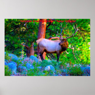 Poster Bonjour Noël Grand-père Hunter Gatherer