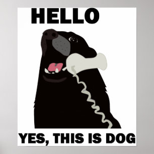Poster BONJOUR OUI C'EST téléphone de téléphone de CHIEN