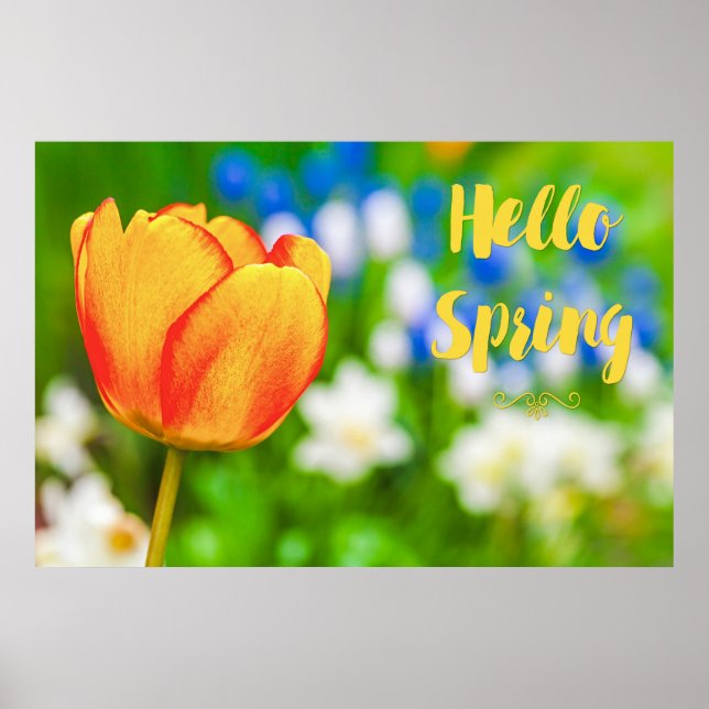 Poster Bonjour Printemps ! (Devant)
