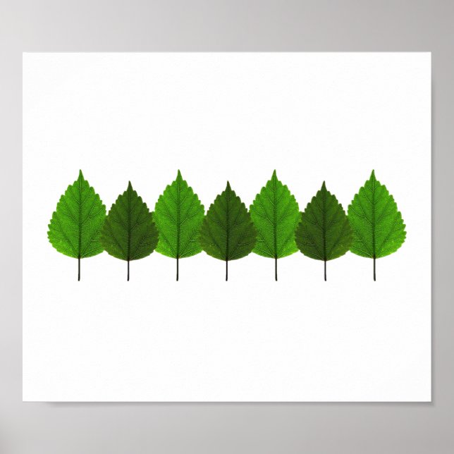 Poster Bonne forêt de feuilles d'arbre vert (Devant)