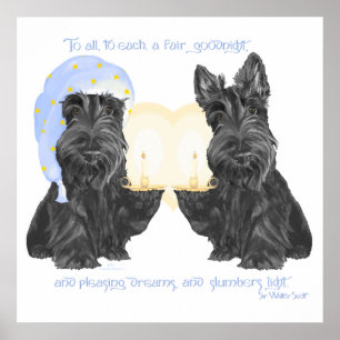 Poster Bonne nuit Scotties