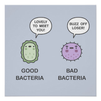 Poster Bonnes Bactéries, Bactéries Mauvaises