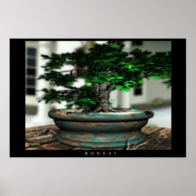 Poster Bonsai (Devant)