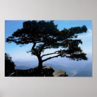 Poster "Bonsai"
