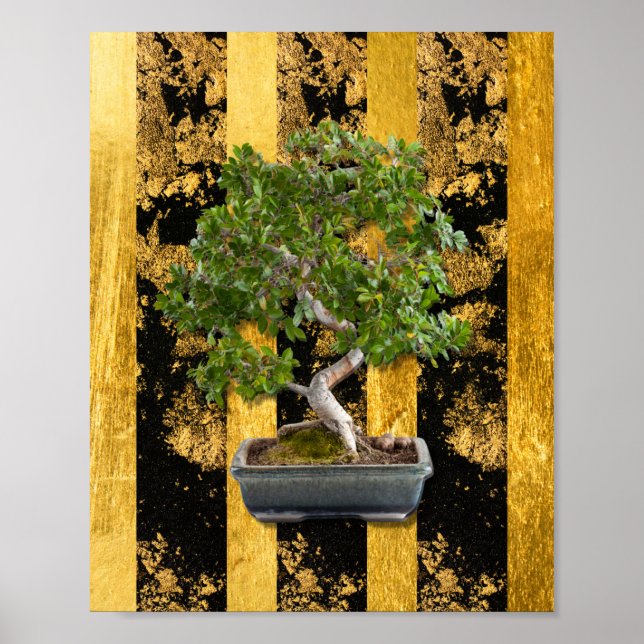 Poster Bonsai Arbre Vert Or Black Grandes Mur Art (Devant)