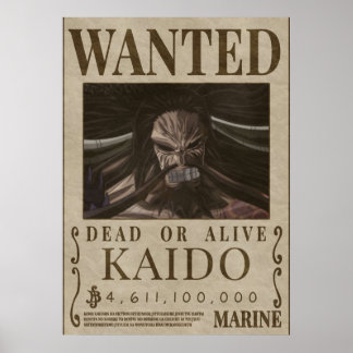 Poster Bonté Recherchée KAIDO kaido