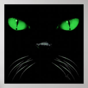 Poster Boo - Émeraude