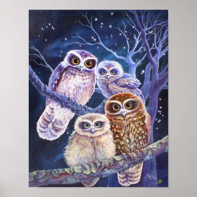Poster Boobook Owl Family. (Devant)