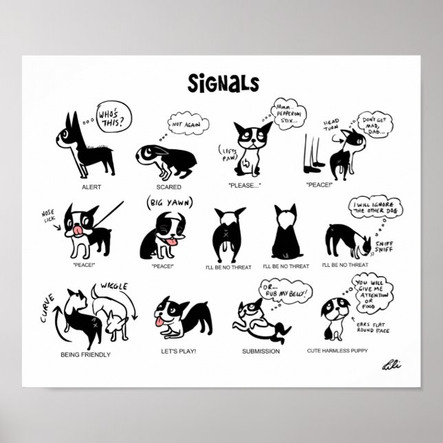 Poster Boogie Signes par Lili Chin (Devant)