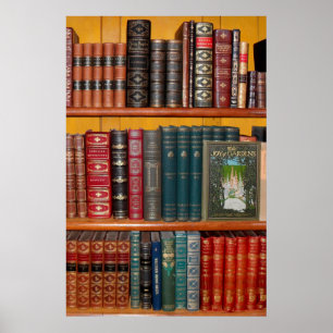 Poster books library bookshelf bookshop