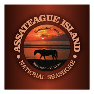Poster Bord de la mer de ressortissant d'île d'Assateagu