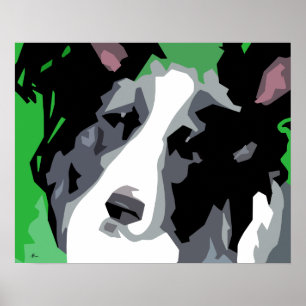 Poster Border Collie Abstrait