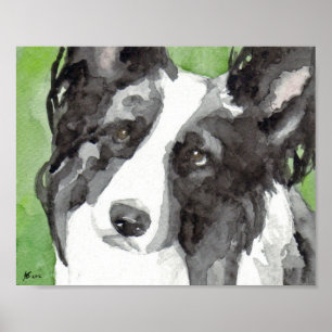 Poster Border Collie Aquarelle