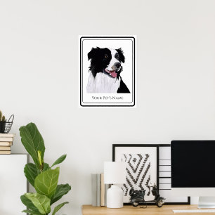 Poster Border Collie Chien Noir et Blanc