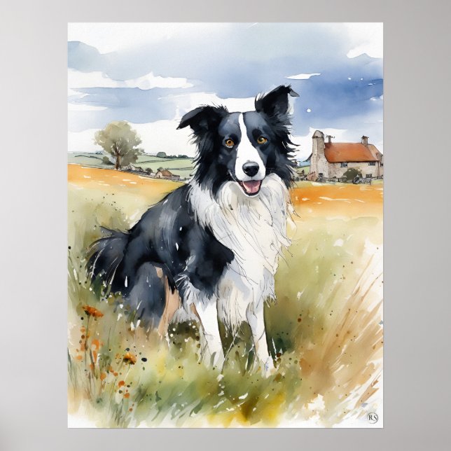Poster Bordure Collie - Art Chien Imprimer (Devant)