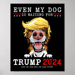 Poster Bordure Collie Chien Même Mon Chien Attend Trump
