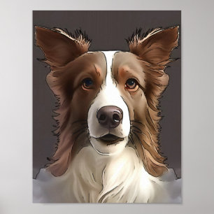 Poster Bordure Collie Chien Portrait de animal de compagn